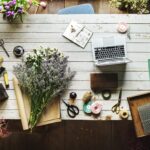 rawpixel-arrangement-2264812_1280 (1)
