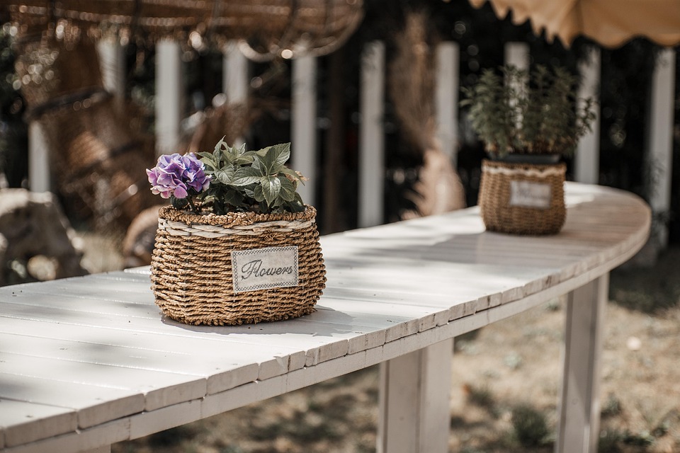 seasonal flower care