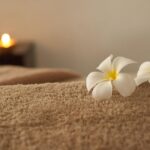 indoor flower care