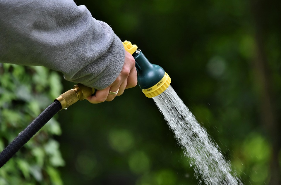 flower watering guide
