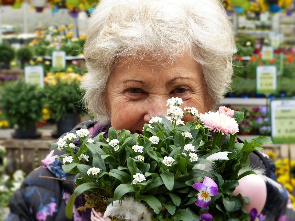 how to care for flowers