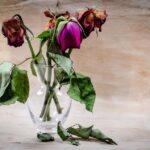 preserved flower gifts