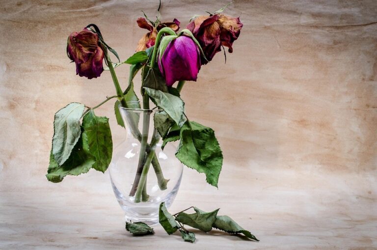 preserved flower gifts