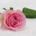 anniversary flowers