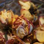 dried flower gifts