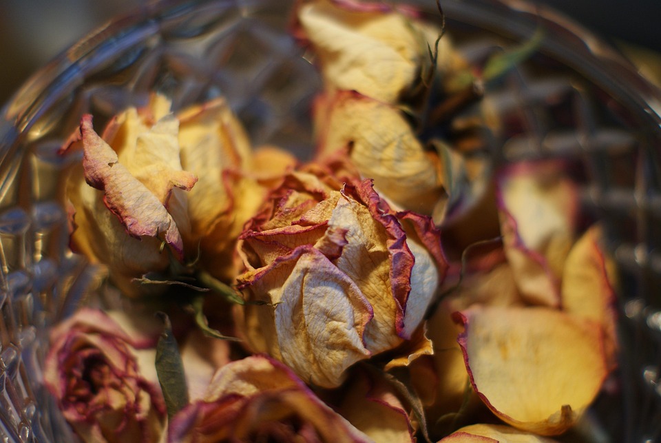 dried flower gifts