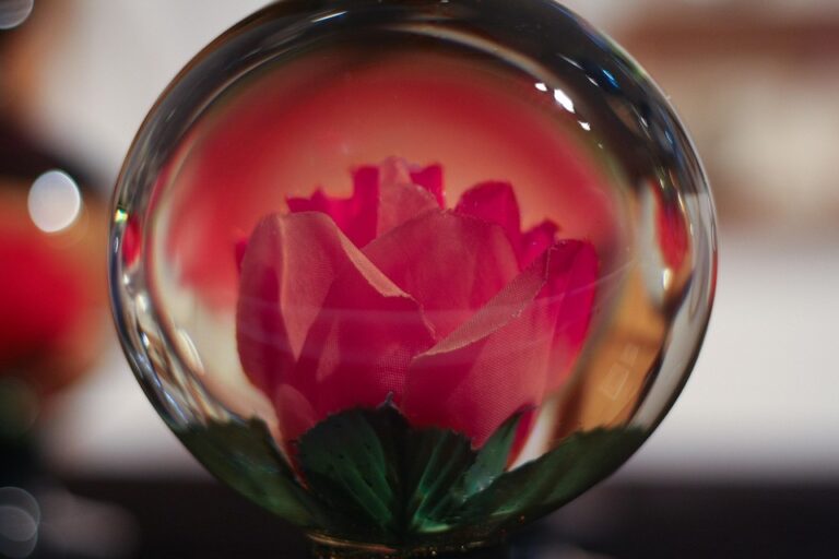 flower gift sets