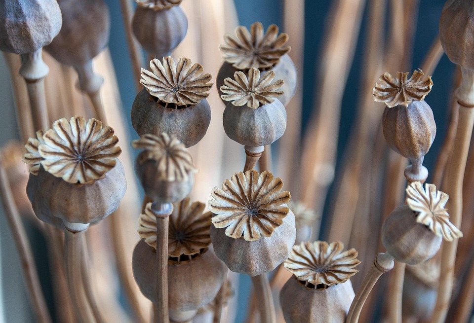 dried flower arrangements