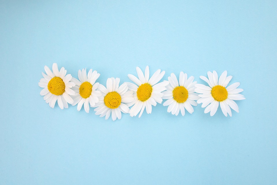 fresh flower arrangements