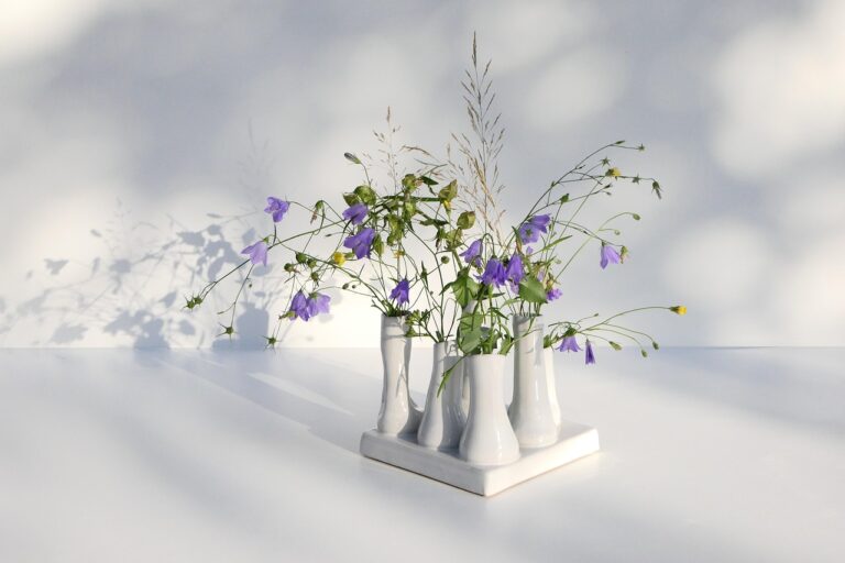 katzenfee50-flowers-4410990_1280
