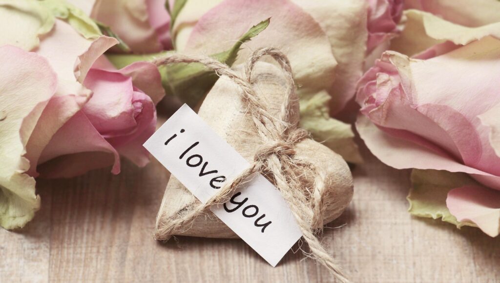 noname_13-roses-2840743_1280