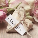 noname_13-roses-2840743_1280